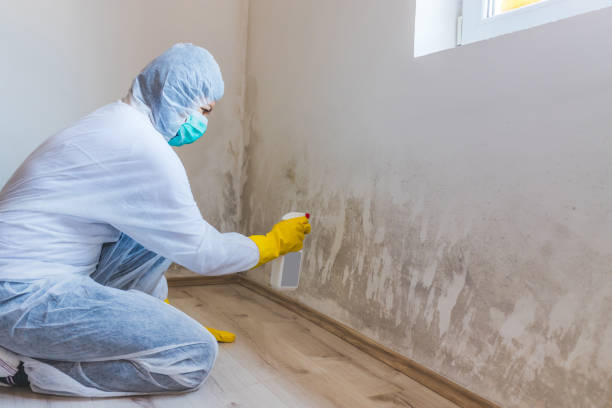 Crawl Space Mold Removal in Collinsville, OK