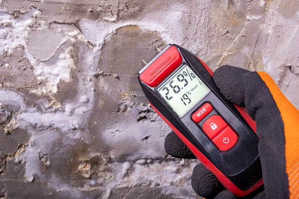 Best Attic Mold Removal  in Collinsville, OK