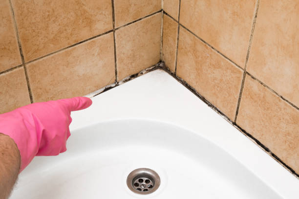 Best Toxic Mold Removal  in Collinsville, OK